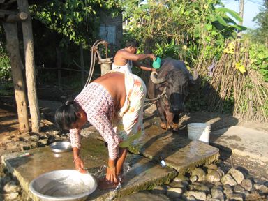 Tharu Village - Shared Space