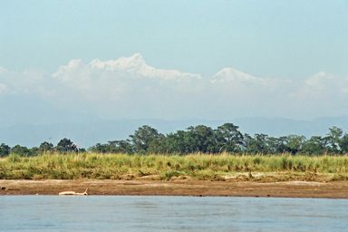 Rapti Canoeing